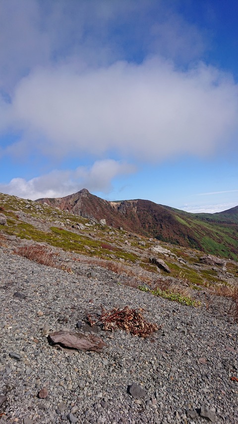 DSC_2890