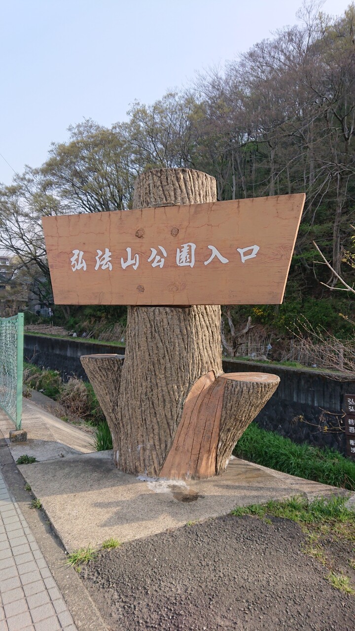 秦野 弘法山 お花見ハイキング 続たまプラーザ日記