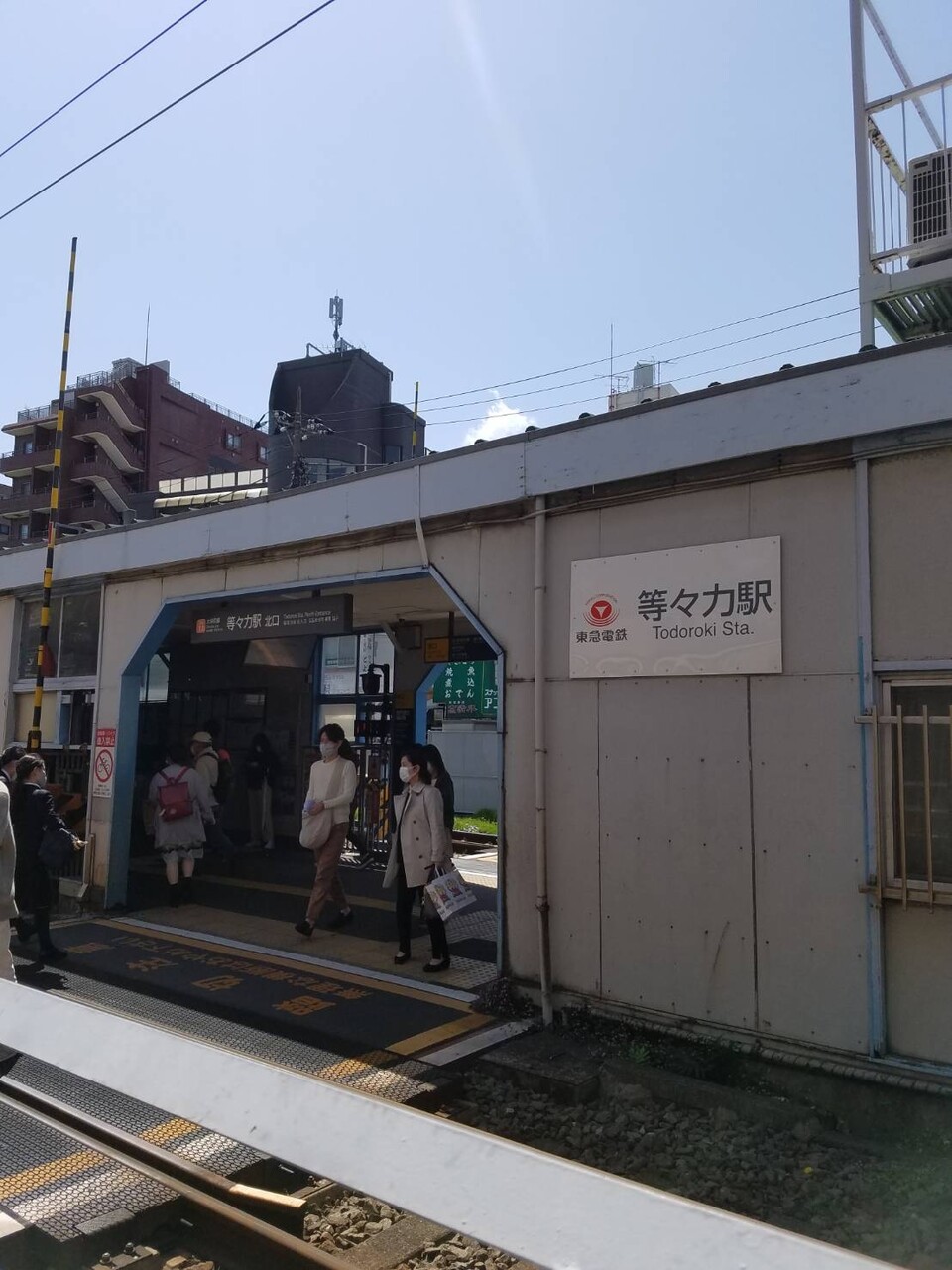 等々力渓谷公園 に行きました 続たまプラーザ日記 等々力渓谷公園 に行きました 続たまプラーザ日記