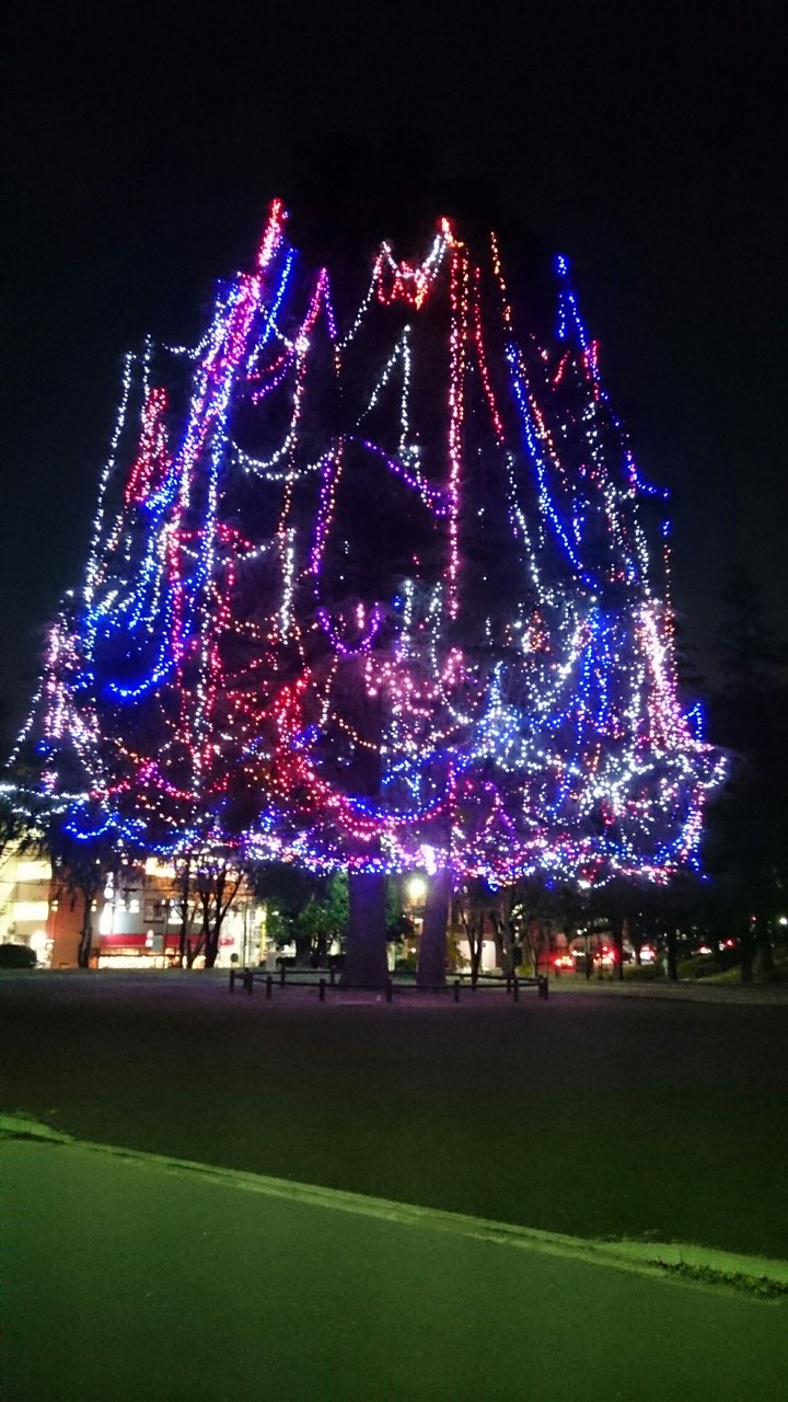 メリークリスマス 17 続たまプラーザ日記