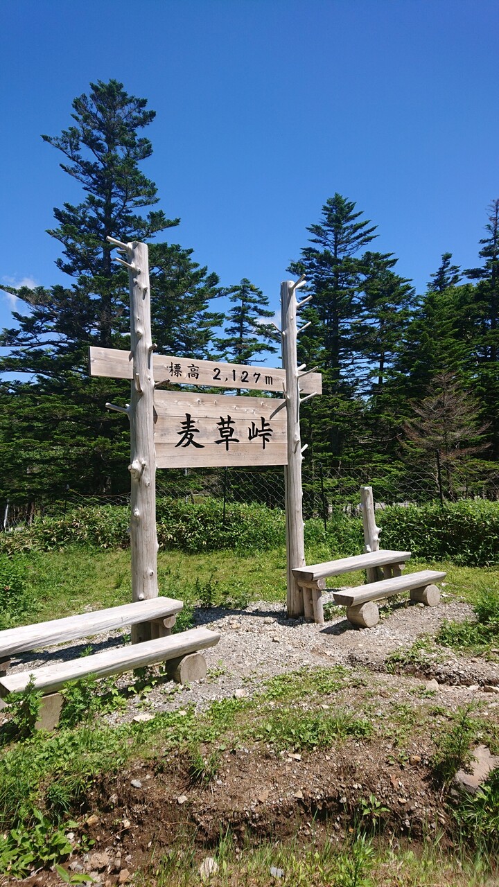 北八ヶ岳テント泊登山 双子池へ 続たまプラーザ日記