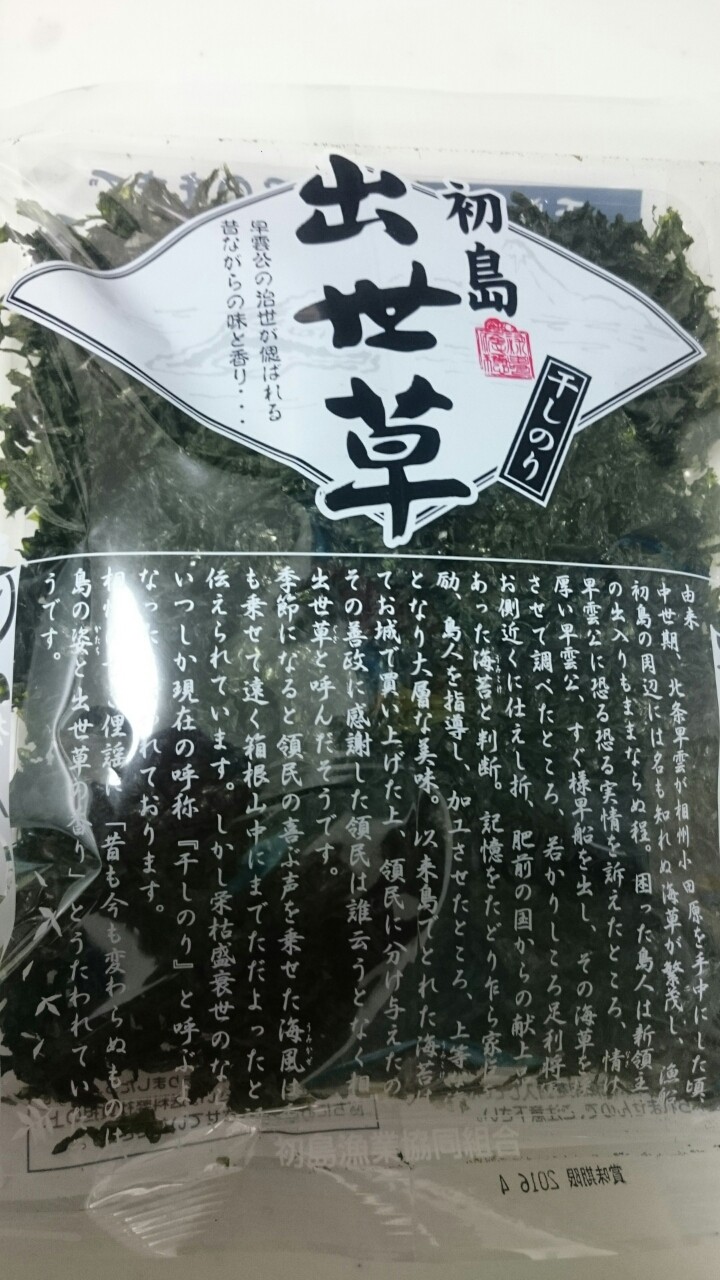 初島へプチ旅行 後編 続たまプラーザ日記