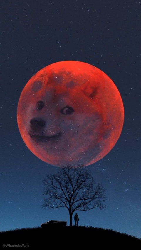 161242B0-9B47-416E-A335-B8AAFF05C97B