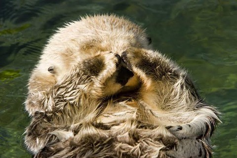 8FF2CB08-2A78-450F-8DB1-D3901C642BEC