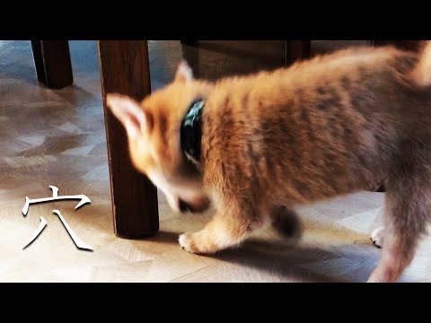 IMG_7189