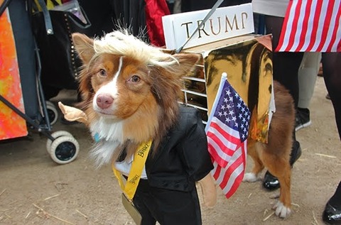 14-trump