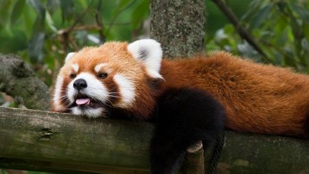 [画像:f8fafb32.jpg]