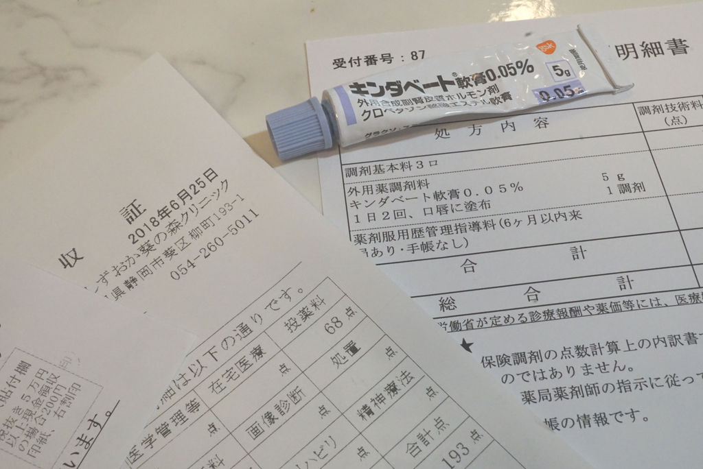 上唇の水疱が治らない 唇から色物が消えてやる気消失備忘録 ゆきだるま日記