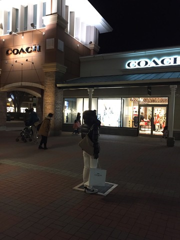 COACHショルダー (34)