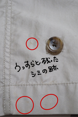 Amway部分汚れスプレー19