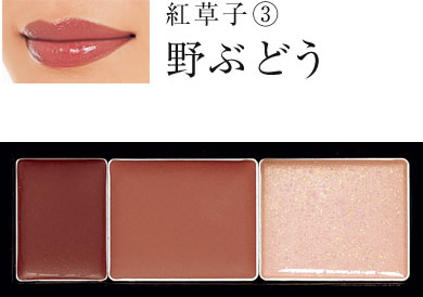 草花木果 紅草子 限定リップパレット 化粧品が好きだ