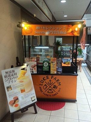 11930628_858375320921395_1074229519_n