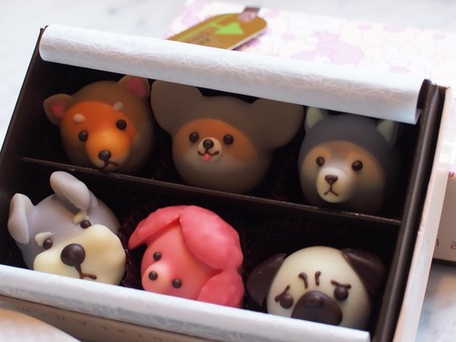 26804650_876893632518022_6905545062482770658_n