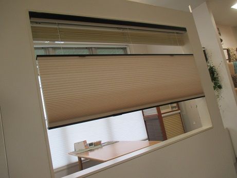 IMG_4599