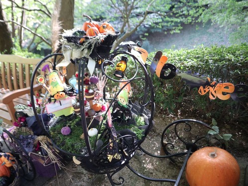 ¥Ï¡¼¥Ö¤¨¤óIMG_0146 (147)