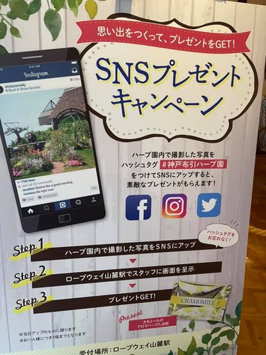 225358232_4186736158107013_4827075340919266684_n