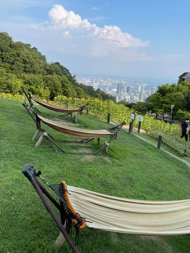 228510420_4186735428107086_2958310197552353911_n