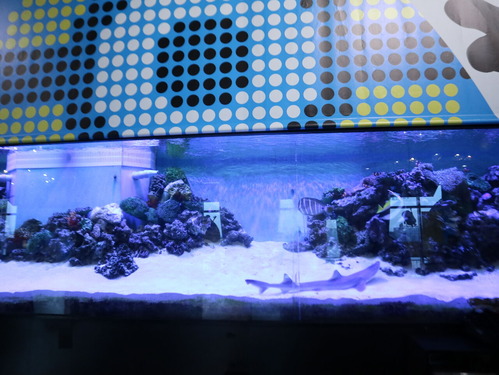 usjport1IMG_0164 (26)