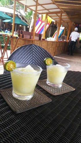 51582910_2080707915376525_3339968763544993792_n