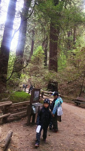 21106341_1424813867632603_7231528595612531122_n