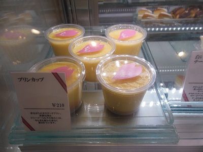 DSCN0837