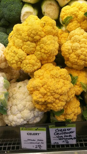 21034647_1425634980883825_3917922872864594202_n