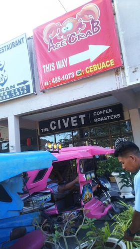 51389671_2080721945375122_8408200837645467648_n