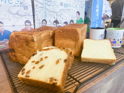 109811651_3127585984022041_3891253417780581379_n