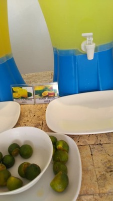 51522730_2080720265375290_5054219790541914112_n