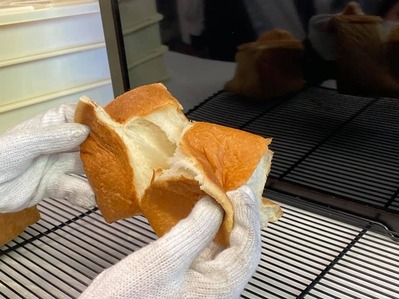 108594074_3127585840688722_2590266611486048967_n