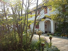 DSCN9294