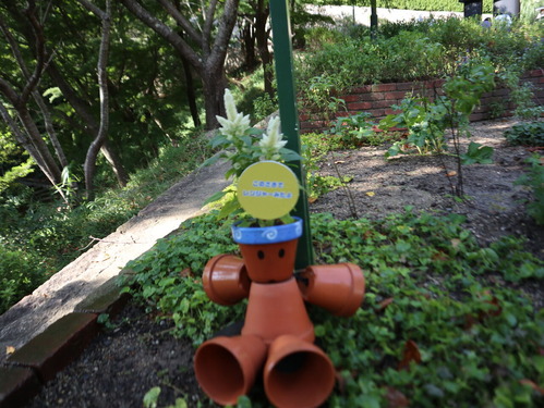 ¥Ï¡¼¥Ö¤¨¤óIMG_0146 (30)