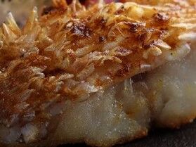 0004028950S1001_740x555y (2)