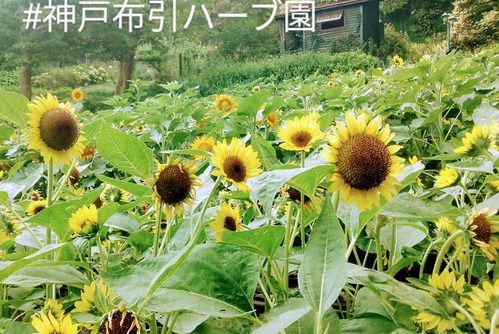 230762761_4186735198107109_2270631440604988178_n