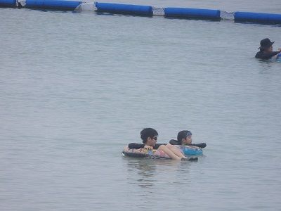 P6039523 - ¥³¥Ô¡¼