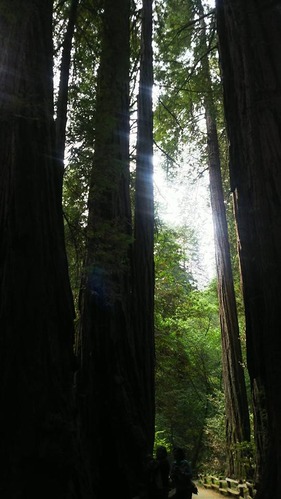 21034666_1424827657631224_8337075665796756932_n