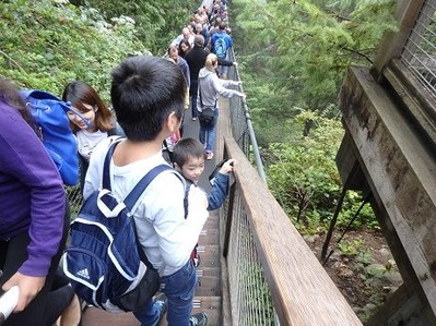 P8042449 - ���ԡ�