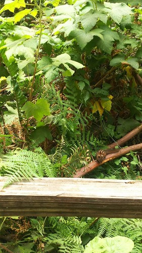 21078416_1424828030964520_5309568520776613361_n