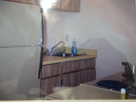 P8203287 - ���ԡ�