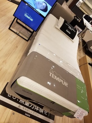 41174943_1362583310542461_6664654890989518848_n