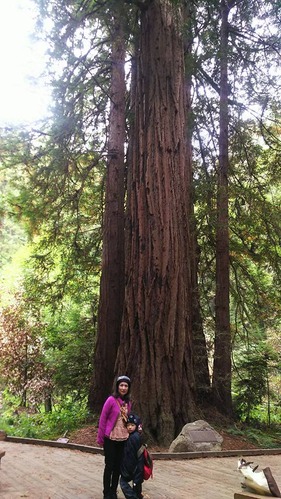 21032848_1424813774299279_2269872432769785247_n