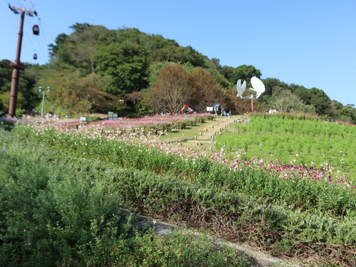 ¥Ï¡¼¥Ö¤¨¤óIMG_0146 (80)