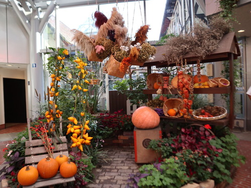 ¥Ï¡¼¥Ö¤¨¤óIMG_0146 (34)