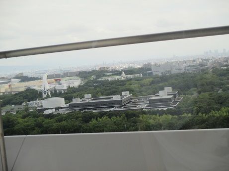 IMG_4537