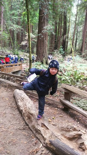 21105589_1424826650964658_5493625983928926735_n