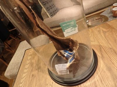 PC154322 - ���ԡ�