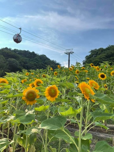 224290291_4186736351440327_5725252706177868259_n