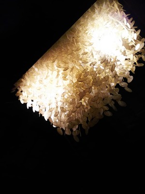 51675409_2080727578707892_3090174835704201216_n