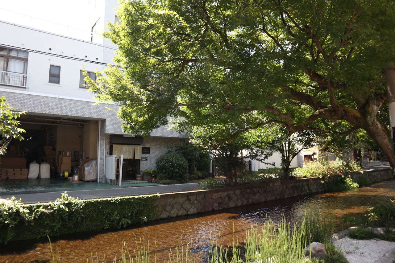 京都夏旅 隠れ家町家ホテル 高瀬川別邸 Yuki の Sweets Diary 京都夏旅 隠れ家町家ホテル 高瀬川別邸 Yuki の Sweets Diary
