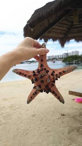 51771337_2080708342043149_3733139883821105152_n